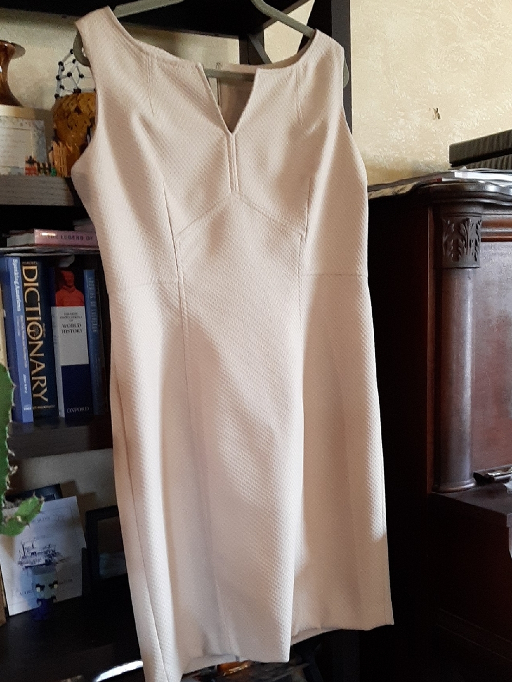 Anne Klein Tan Textured Shift Dress Sz 16